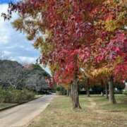 ヒメ日記 2025/11/21 11:37 投稿 カオリ RING