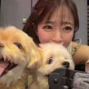 ヒメ日記 2025/12/06 10:16 投稿 きい 翡翠の夢