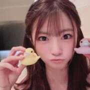 ヒメ日記 2025/12/23 18:05 投稿 きい 翡翠の夢