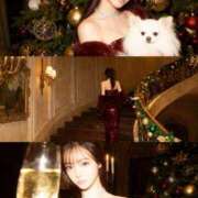 ヒメ日記 2025/12/25 20:05 投稿 きい 翡翠の夢