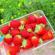 ヒメ日記 2026/04/03 19:37 投稿 みお フェアリー【都城店】