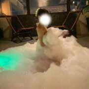 ヒメ日記 2025/11/20 02:21 投稿 波美(なみ) グランドオペラ福岡