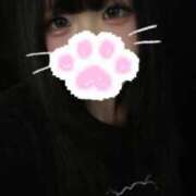 ヒメ日記 2025/10/03 15:23 投稿 ゆん もみもみワンダーランド