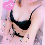 ヒメ日記 2025/09/20 12:02 投稿 ほのか 熟女の風俗最終章 宇都宮店