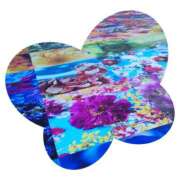 ヒメ日記 2025/08/23 00:24 投稿 しのぶ 千姫(道後)