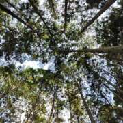 ヒメ日記 2025/09/01 06:00 投稿 しのぶ 千姫(道後)