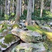 ヒメ日記 2025/09/10 06:00 投稿 しのぶ 千姫(道後)