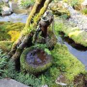 ヒメ日記 2025/09/16 14:45 投稿 しのぶ 千姫(道後)