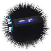 ヒメ日記 2025/10/22 09:49 投稿 しのぶ 千姫(道後)