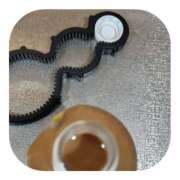 ヒメ日記 2025/11/08 06:00 投稿 しのぶ 千姫(道後)