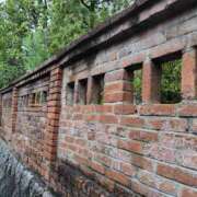 ヒメ日記 2025/11/19 07:40 投稿 しのぶ 千姫(道後)