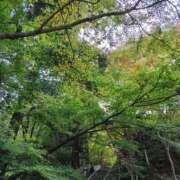 ヒメ日記 2025/11/28 09:14 投稿 しのぶ 千姫(道後)