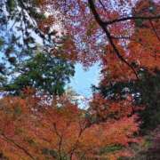 ヒメ日記 2025/11/28 09:18 投稿 しのぶ 千姫(道後)