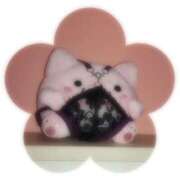 ヒメ日記 2025/11/29 15:21 投稿 しのぶ 千姫(道後)