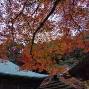 ヒメ日記 2025/11/30 10:00 投稿 しのぶ 千姫(道後)