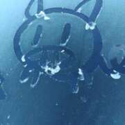 しのぶ おはようございます😄 千姫(道後)