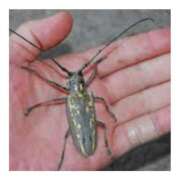 ヒメ日記 2025/12/11 22:37 投稿 しのぶ 千姫(道後)