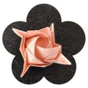 ヒメ日記 2026/01/02 12:47 投稿 しのぶ 千姫(道後)