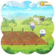 ヒメ日記 2026/01/11 08:00 投稿 しのぶ 千姫(道後)