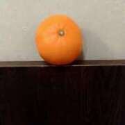 ヒメ日記 2026/03/04 12:41 投稿 しのぶ 千姫(道後)