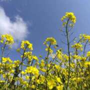 ヒメ日記 2026/03/18 16:59 投稿 しのぶ 千姫(道後)