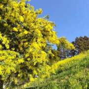 ヒメ日記 2026/03/20 07:00 投稿 しのぶ 千姫(道後)