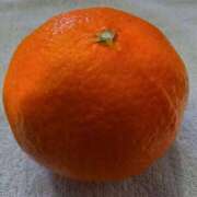 ヒメ日記 2026/03/21 11:24 投稿 しのぶ 千姫(道後)