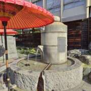 ヒメ日記 2026/03/31 13:24 投稿 しのぶ 千姫(道後)