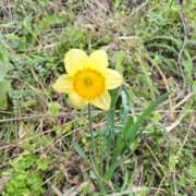 ヒメ日記 2026/04/04 14:23 投稿 しのぶ 千姫(道後)