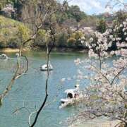 ヒメ日記 2026/04/11 11:14 投稿 しのぶ 千姫(道後)