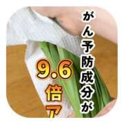 ヒメ日記 2026/04/15 07:00 投稿 しのぶ 千姫(道後)