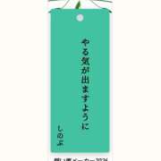 ヒメ日記 2026/07/07 07:00 投稿 しのぶ 千姫(道後)