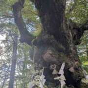 ヒメ日記 2025/10/03 22:23 投稿 伊吹 咲 こあくまな熟女たち 西川口店(KOAKUMAグループ)