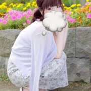 ヒメ日記 2025/08/26 19:33 投稿 卯月　みみ マダム美林　札幌店