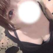 ヒメ日記 2026/03/31 18:23 投稿 卯月　みみ マダム美林　札幌店