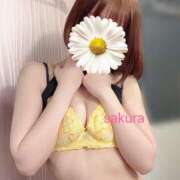 ヒメ日記 2025/08/21 08:36 投稿 さくら 道玄坂クリスタル