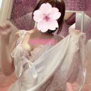 ヒメ日記 2025/08/27 16:46 投稿 さくら 道玄坂クリスタル