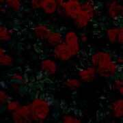 ヒメ日記 2025/10/01 18:06 投稿 さくら 道玄坂クリスタル