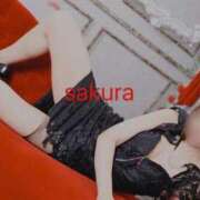 ヒメ日記 2025/10/02 23:06 投稿 さくら 道玄坂クリスタル