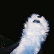 ヒメ日記 2025/08/25 09:33 投稿 月詩(つくし)♥小柄な麗し美少女 美魔女コレクション