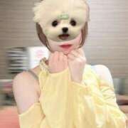 ヒメ日記 2025/10/22 11:30 投稿 月詩(つくし)♥小柄な麗し美少女 美魔女コレクション