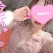 ヒメ日記 2025/12/10 13:30 投稿 月詩(つくし)♥小柄な麗し美少女 美魔女コレクション