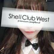 ヒメ日記 2025/09/17 09:17 投稿 前田　あおい シェルクラブ・ウエスト