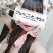 ヒメ日記 2025/10/19 12:55 投稿 前田　あおい シェルクラブ・ウエスト