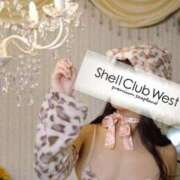 ヒメ日記 2025/11/10 09:36 投稿 前田　あおい シェルクラブ・ウエスト