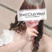 ヒメ日記 2025/11/13 09:18 投稿 前田　あおい シェルクラブ・ウエスト