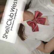 ヒメ日記 2025/11/27 09:19 投稿 前田　あおい シェルクラブ・ウエスト