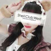ヒメ日記 2026/01/13 14:49 投稿 前田　あおい シェルクラブ・ウエスト