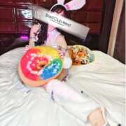 ヒメ日記 2026/01/31 20:17 投稿 前田　あおい シェルクラブ・ウエスト