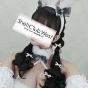 ヒメ日記 2026/02/19 14:05 投稿 前田　あおい シェルクラブ・ウエスト